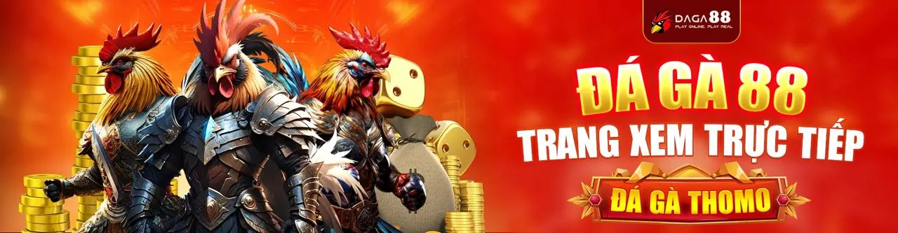 Đá Gà Trực Tuyến Sôi Động tại 33win01 code