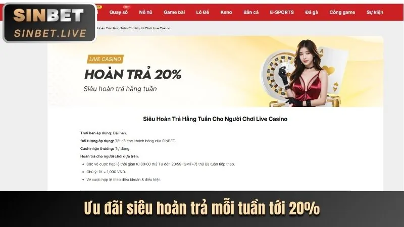 Tận Dụng Các Chương Trình Khuyến Mãi